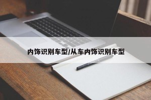 内饰识别车型/从车内饰识别车型