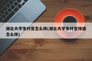 湖北大学生村官怎么样(湖北大学生村官待遇怎么样)